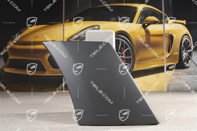 Verkleidung, Seitlich, Schwarz-matt, GT2RS, L