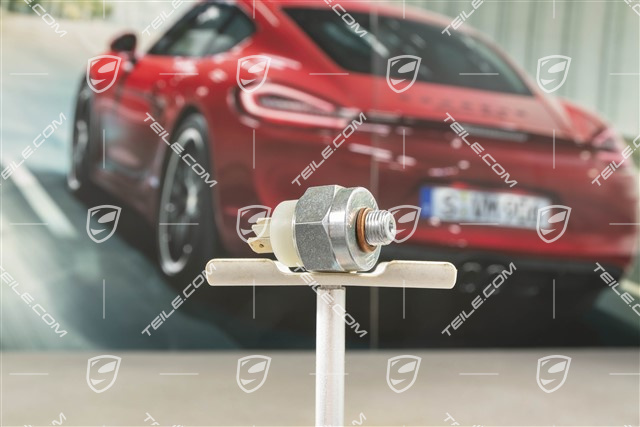 Bremslichtschalter