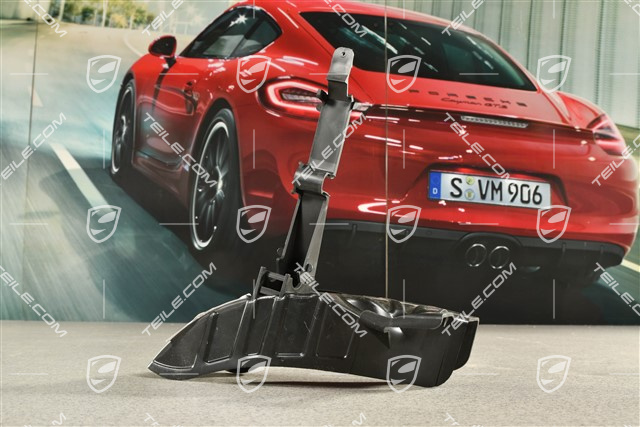 Turbo, Wishbone / Control arm spoiler / Brake air deflector, Rear axle, R