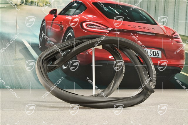 Türdichtung, innen, Cabrio, R