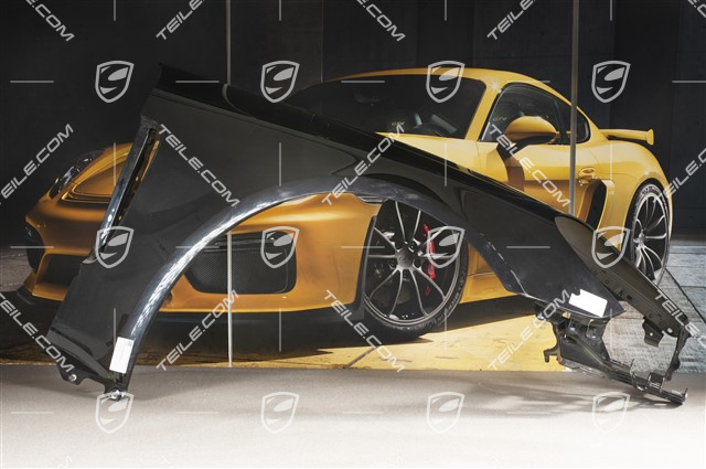 Wing, a little damaged, R