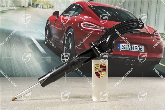Schwingungsdämpfer, V6 / V6 TDI / V8 / V6 Diesel / V6 Diesel 2CC/21, R