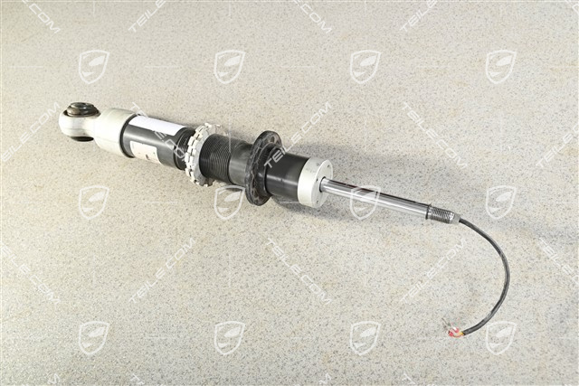 Stoßdämpfer, HA, GT3 RS, L=R