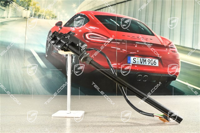 Mechanizm elektrycznej rolety przeciwsłonecznej tylnych drzwi, R