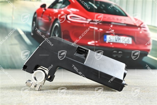 Battery terminal with fuses
