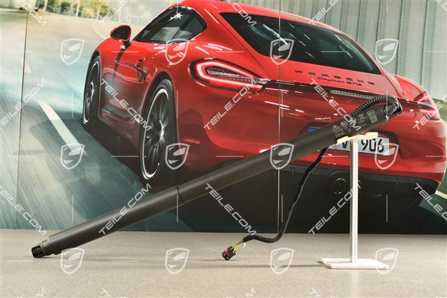 Stellelement, Dämpfer elektrisch, Servoschliesselung Heckklappe, L=R