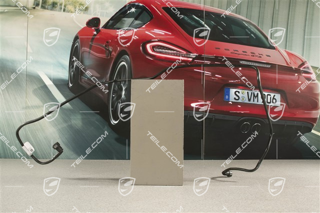 C4, C4S Entlueftungsleitung, Kraftstoffanlage