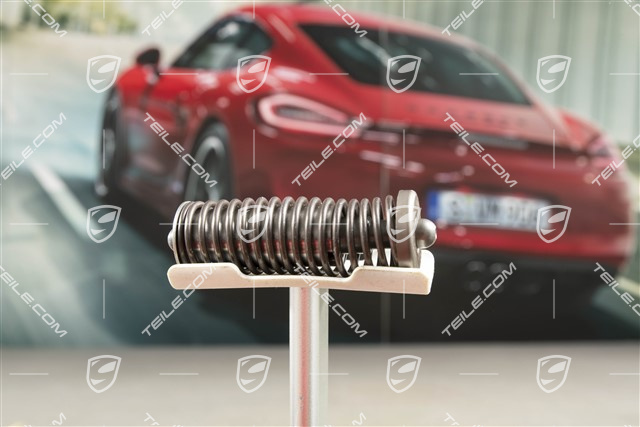 Kettenspanner, GT3 3,8L 320kW / 4,0L 368kW / Turbo 3,6L 353kW / GT2 3,6L 456kW, L