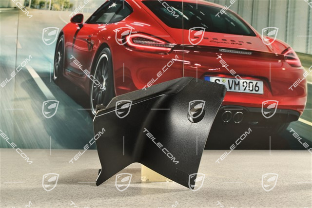 Tail light trim, L