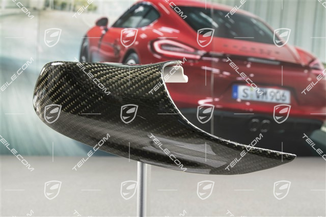 Abdeckblende, Carbon, L