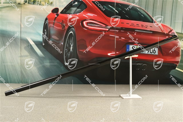 Moulding trim, incl. gasket, rear door, Glossy Black, L