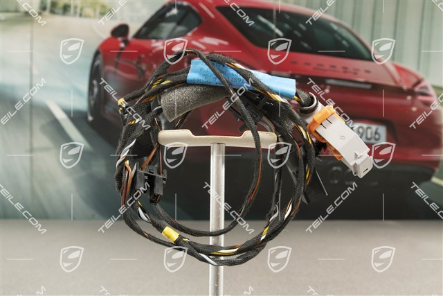 Wiązka elektryczna, drzwi pasażera, RHD, L