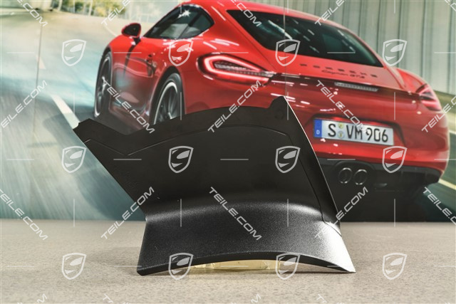 Heckleuchte Abdeckung, aussen, L