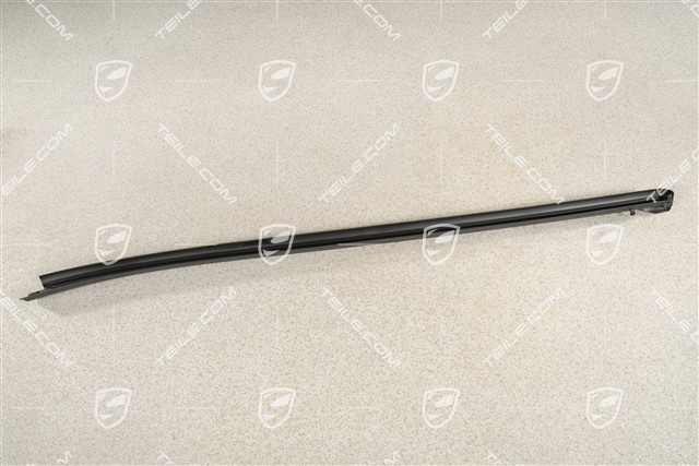 Tür Dichtung hinten, unten, L