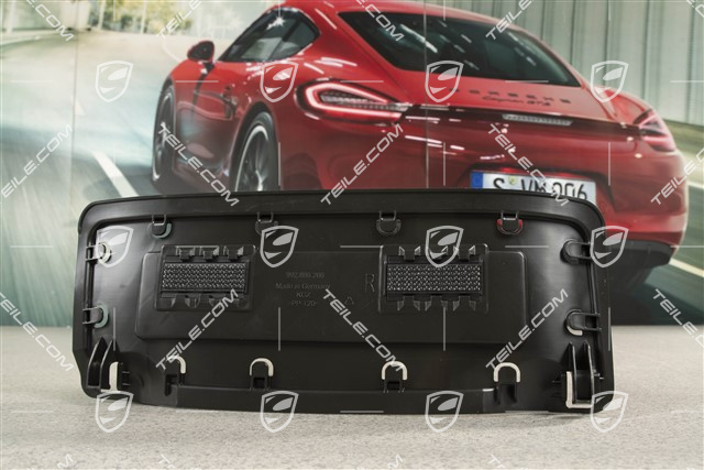 Lumbar support, Carrier, R