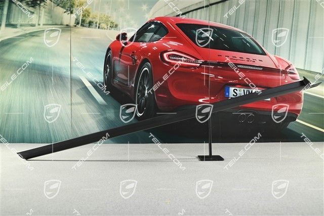 Einstiegsleiste, Vorne, aussen, Satinschwarz, L