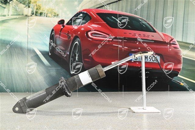 Stossdämpfer / Schwingungsdämpfer, Hinterachse, PASM. L=R