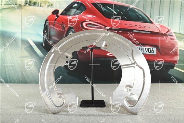 Osłona tarczy hamulcowej tylnej, R