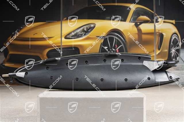 Türverkleidung, Deckel, Carbon, R