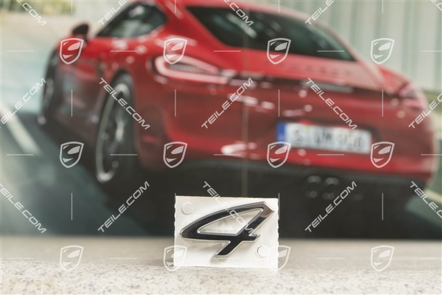 Emblemat / napis 4