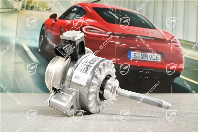 Hydro-mounting, Engine, GT3 3,8/4,0L 350/373KW