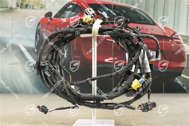 Wiring harness, front bumper