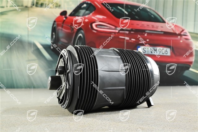 Luftfeder, Hinterachse, L