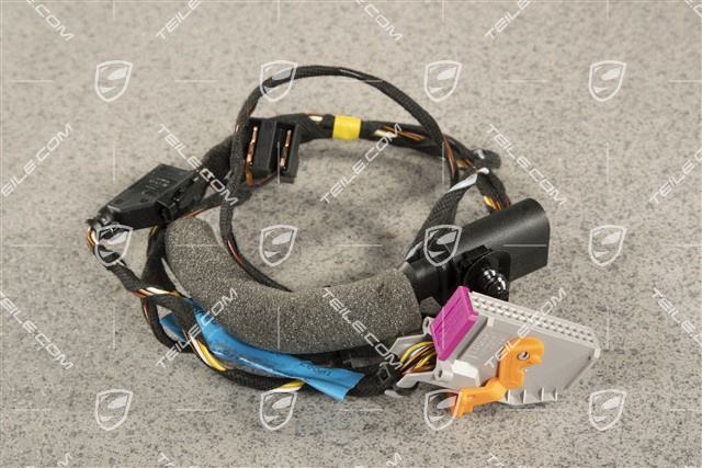 Wiązka elektryczna, drzwi pasażera, RHD, L