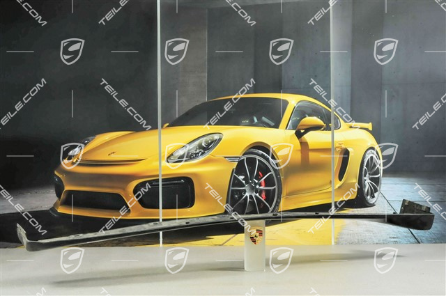 Sill cover, Aerokit "Turbo" / Aerokit "Carrera 4S", L