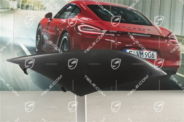 Front bumper disc / trim, Upper, Black, R