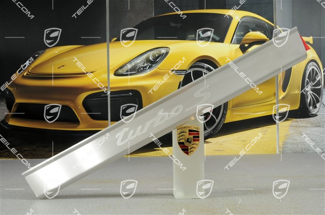 Einstiegleiste "Turbo S", Einzelstück, L=R