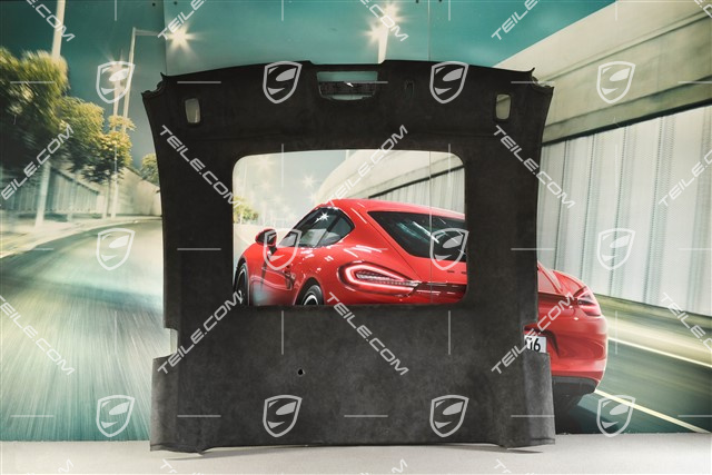 Dachverkleidung mit Glassschiebe/Austelldach, alcantara, schwarz