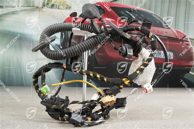 Wiring harness, Assembly frame, driver's door, L