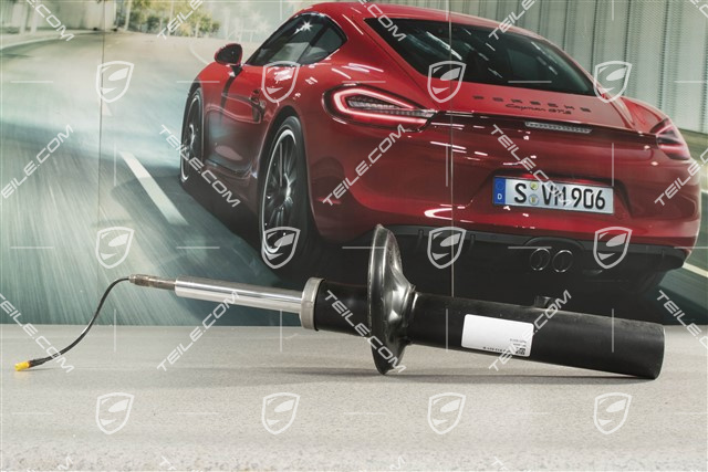 Schwingungsdämpfer, PASM, Hinterachse, L=R