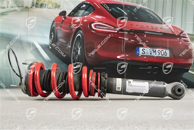 Stoßdämpfer, GT3  PASM , komplett L=R