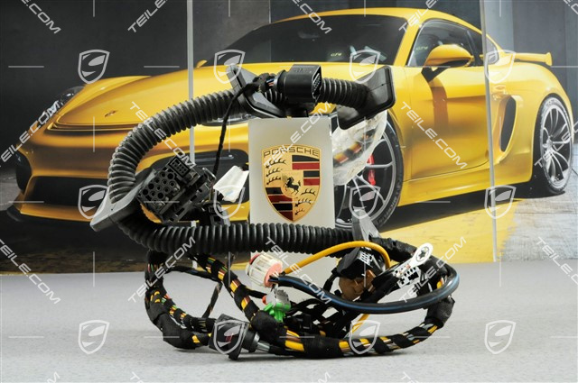 Wiring harness, Assembly frame, driver's door, L