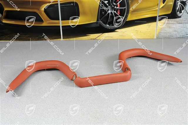 Verkleidung, Leder, terrakotta, Satz