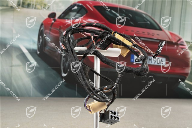 Wiring harness, rear door, L=R
