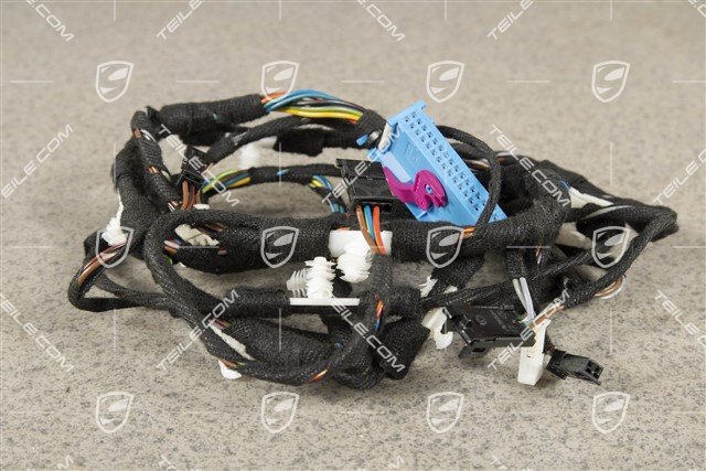 Wiązka elektryczna, drzwi pasażera, ASK, R