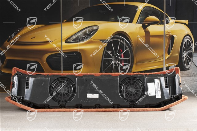 Subwoofer / shelf loudspeaker, Bose, Terracotta, Coupe