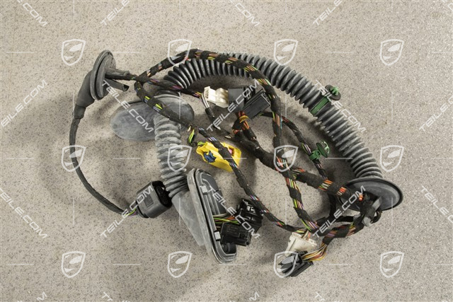 Wiązka elektryczna drzwi pasażera, R