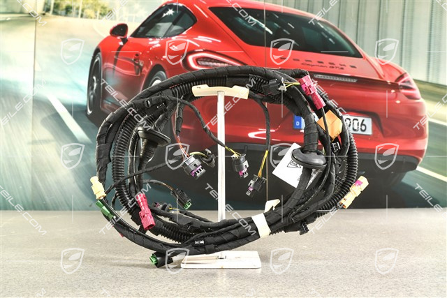 Coupe, Rear bumper wiring harness