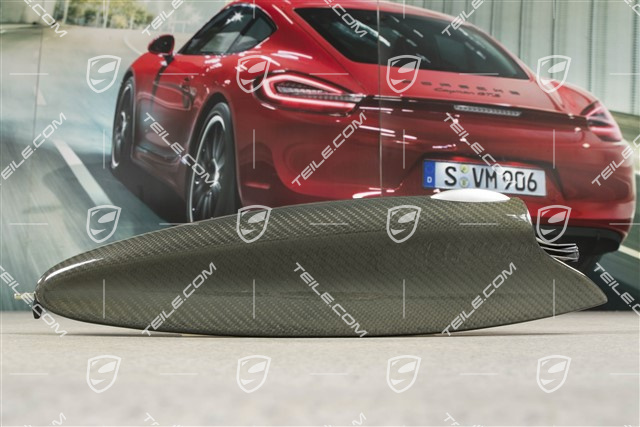 Deckel, Ablagefach, Carbon, L