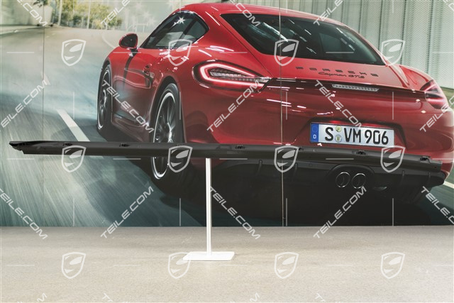 Tür Dichtung hinten, unten, L