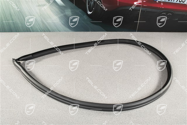 Türdichtung, innen, Cabrio, R