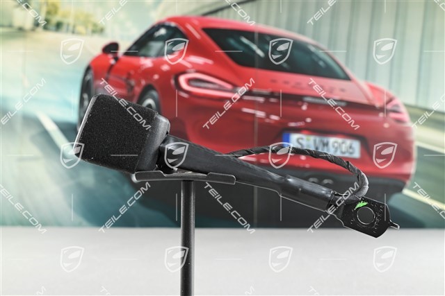 Zapięcie pasów, przednie, strona kierowcy