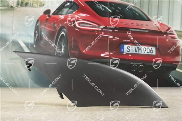 Front bumper disc / trim, Upper, Black, R