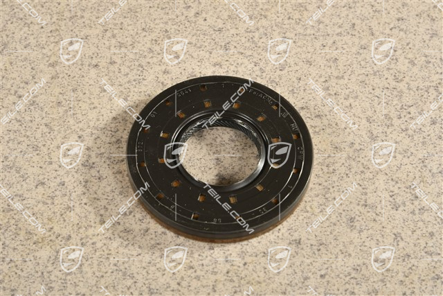 Sealing ring / oil seal