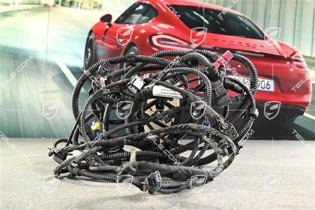 Turbo, Kabelstrang für Stoßstange vorne, L