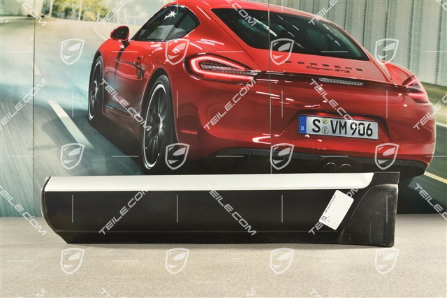 Türverkleidungsleiste mit Zierleiste, Hintertür, Aluminiumpaket, L